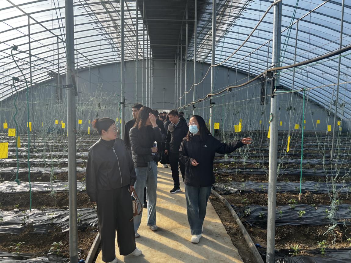 1762241736549 1762241736549